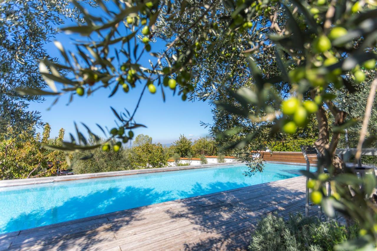 Villa Emi Zgornje Skofije 외부 사진