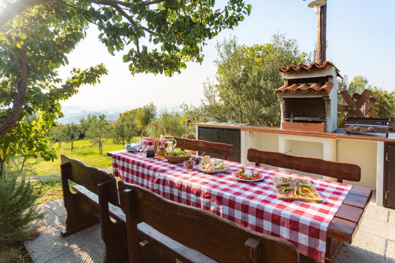 Villa Emi Zgornje Skofije 외부 사진